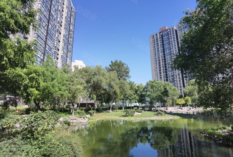 国兴观湖国际,东四环北路88号-北京国兴观湖国际二手房,租房,房价