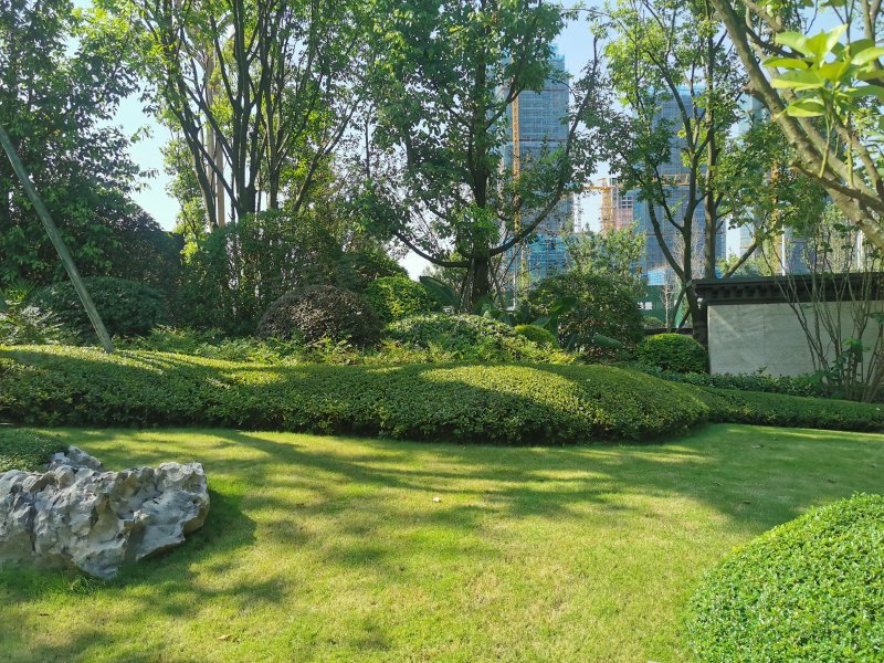 鸿通公园1988,新城一路-南充鸿通公园1988二手房,租房,房价-南充安居