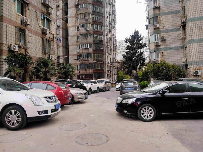 怡景花园,牌楼巷26号-南京怡景花园二手房,租房,房价-南京安居客