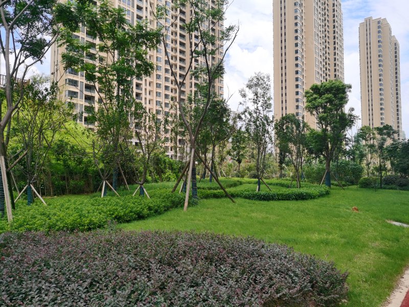 观澜郡,湖滨大道,近201省道-岳阳观澜郡二手房,租房,房价-岳阳安居客