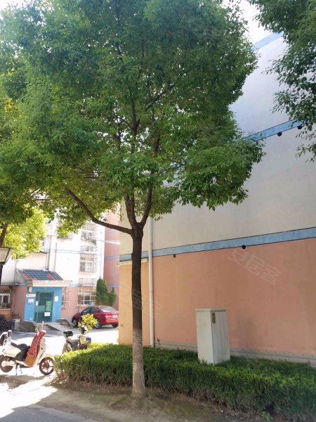 育苑小区(南区) 