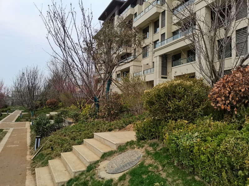 国悦半山九里,樱桃园路-泰安国悦半山九里二手房,租房,房价-泰安安居