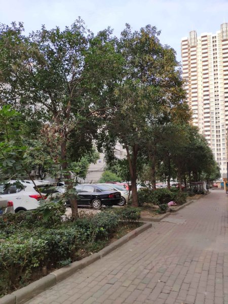 碧螺山庄(二区)