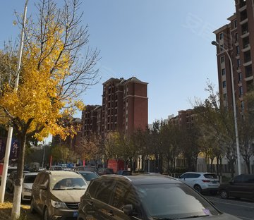 蓝光雍锦湾