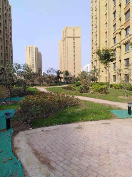 春阳丽景,新城二路-青岛春阳丽景二手房,租房,房价-青岛安居客