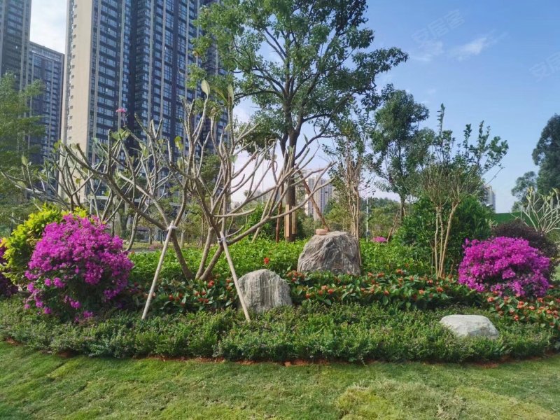 碧桂园城央印象