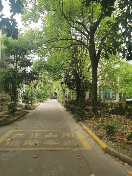 康馨花园,康杉路151弄-上海康馨花园二手房,租房,房价-上海安居客