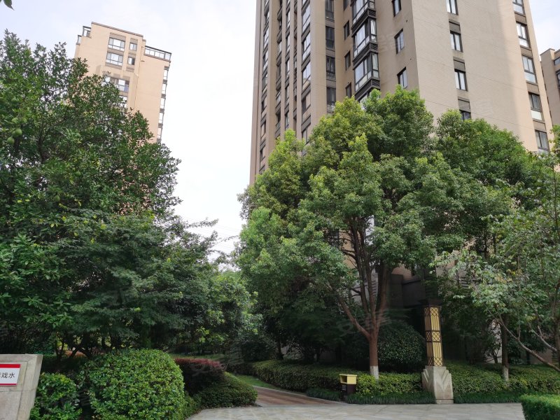 赞成香林,裕民路-绍兴赞成香林二手房,租房,房价-绍兴安居客