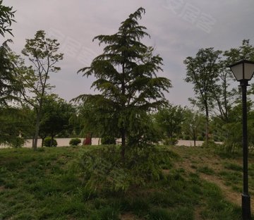 雨花西路136号小区