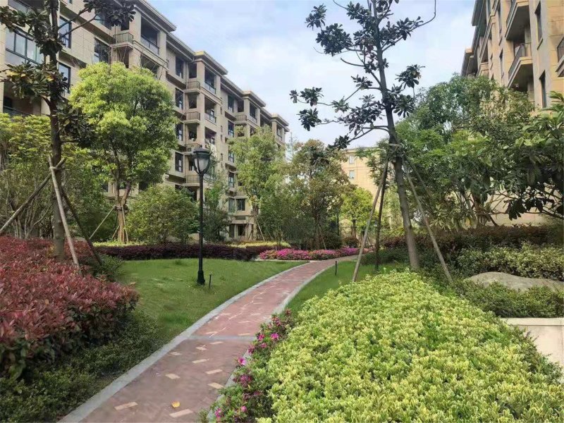 卡森卫星城名庭园