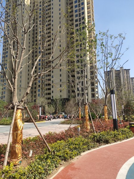 金辉城悦府(别墅)