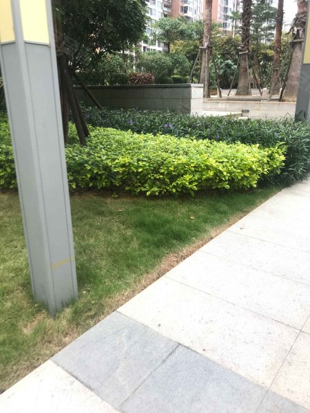 皇庭美域,朝阳北路99号-福州皇庭美域二手房,租房,房价-福州安居客