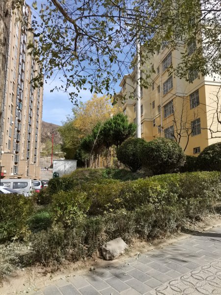 金岳小区,百合路18号-延安金岳小区二手房,租房,房价-延安安居客
