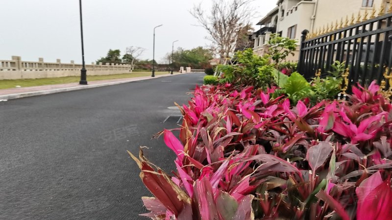 招商卡达凯斯(别墅)