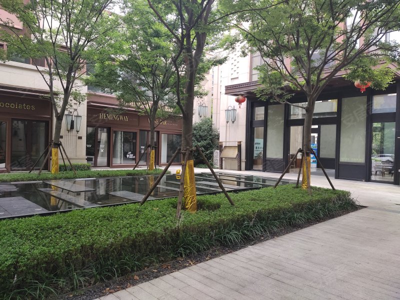 东原逸墅(别墅) 