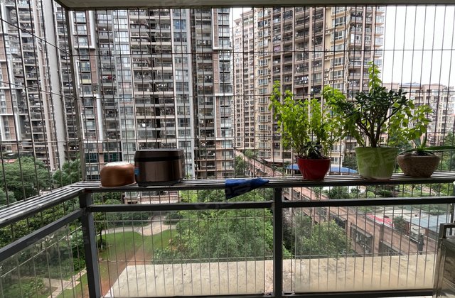 76.8万四房南北通透双阳台佳兴花园城4室2厅2卫115平