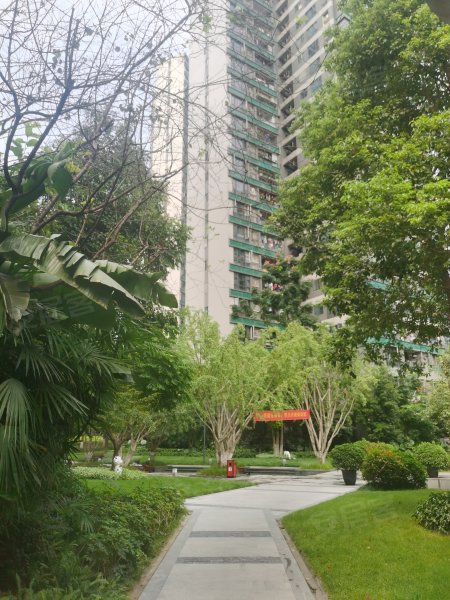 翡翠明珠,光电路18号-重庆翡翠明珠二手房,租房,房价-重庆安居客