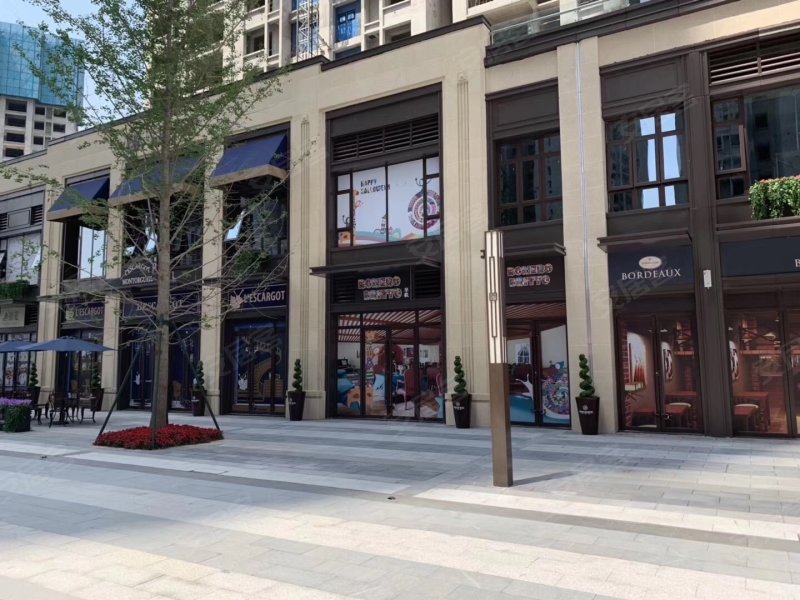 金科城,仁和路98号-武汉金科城二手房,租房,房价-武汉安居客