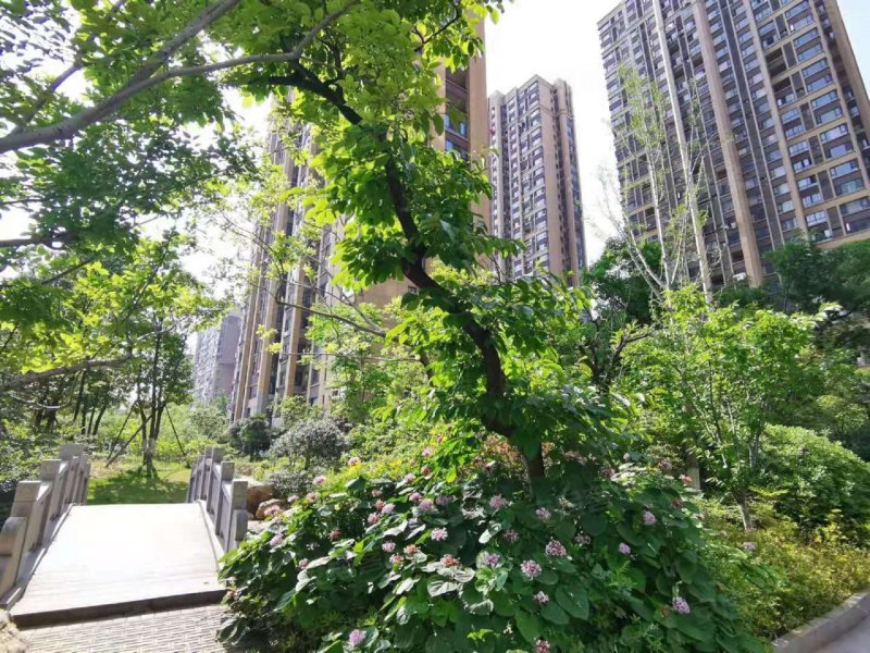 东方天骏九珑湾