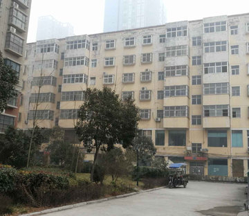 金色家园 商业配套成熟 高楼层采光充足 商品住宅 临地铁