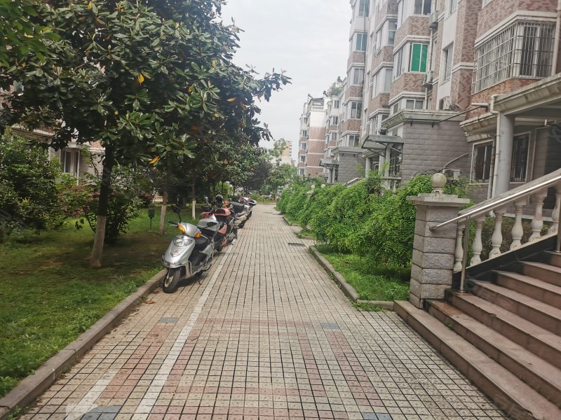 阳光花园一期(迎江),沿江东路-安庆阳光花园一期(迎江)二手房,租房