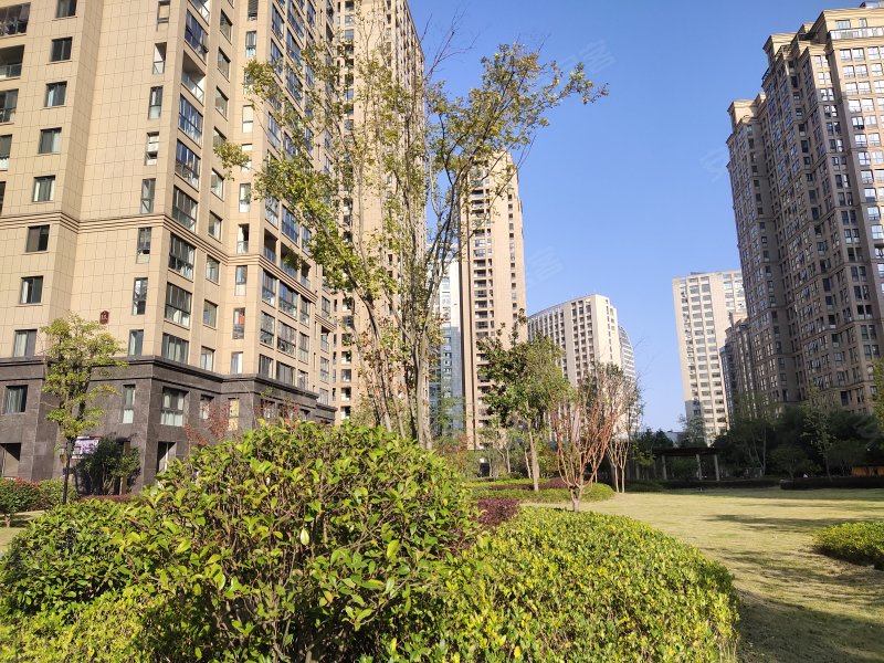 清溪凯旋门,长江南路-池州清溪凯旋门二手房,租房,房价-池州安居客