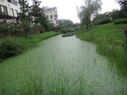 城阳周边小区图片