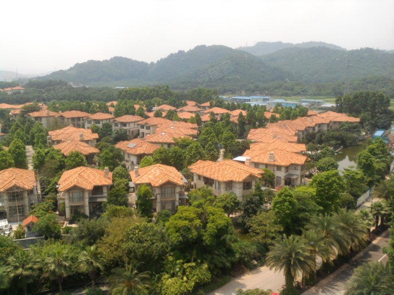 翡翠绿洲龙翔台,陈家林路159号-广州翡翠绿洲龙翔台二手房,租房,房价