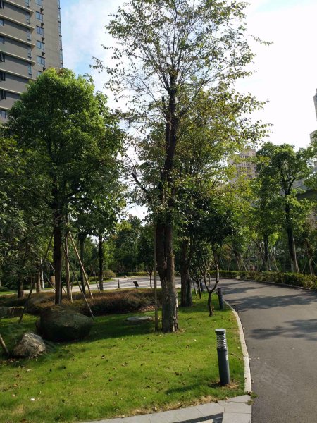 纯水岸东湖天屿(二期)