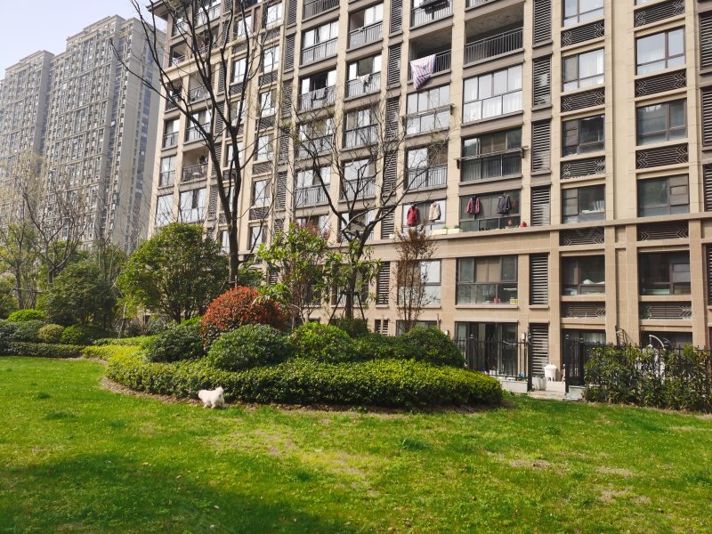 香漫雅园,兴吴路1105号-苏州香漫雅园二手房,租房,房价-苏州安居客