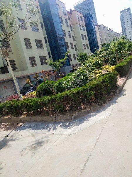 新城花园,济南路356号-日照新城花园二手房,租房,房价-日照安居客