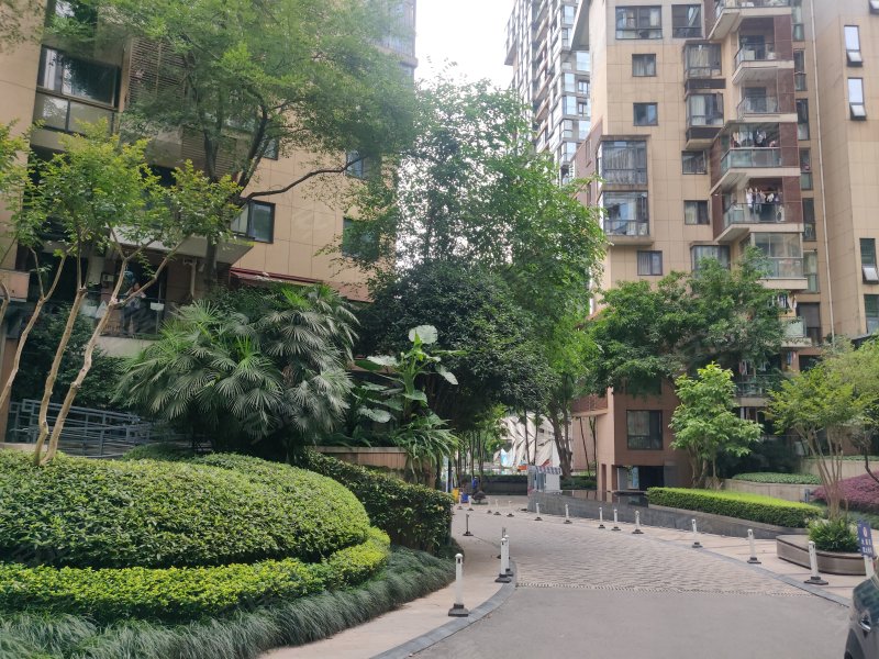 龙湖春森彼岸(2期)