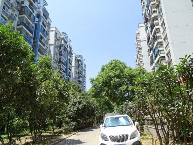 香缇美景,江大路特1号
