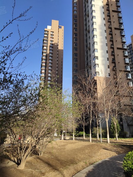 金地格林世界棕榈苑,津沽公路,近赤龙街-天津金地格林世界棕榈苑二手