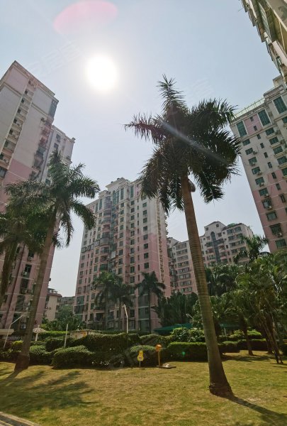 鹭江新城(三期)