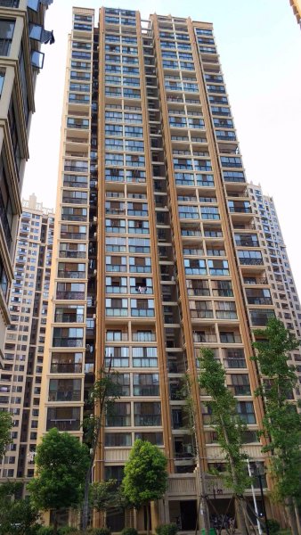 一品国际,巨龙大道52号-武汉一品国际二手房,租房,房价-武汉安居客