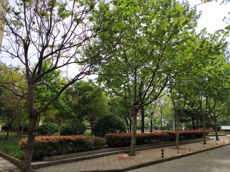 沂河花园(兰山),中丘路4号-临沂沂河花园(兰山)二手房,租房,房价-临沂