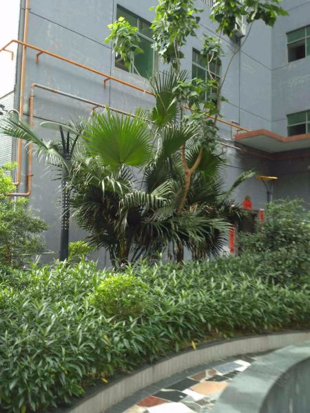 厦村统建楼,沙平北路89号-深圳厦村统建楼二手房,租房,房价-深圳安居