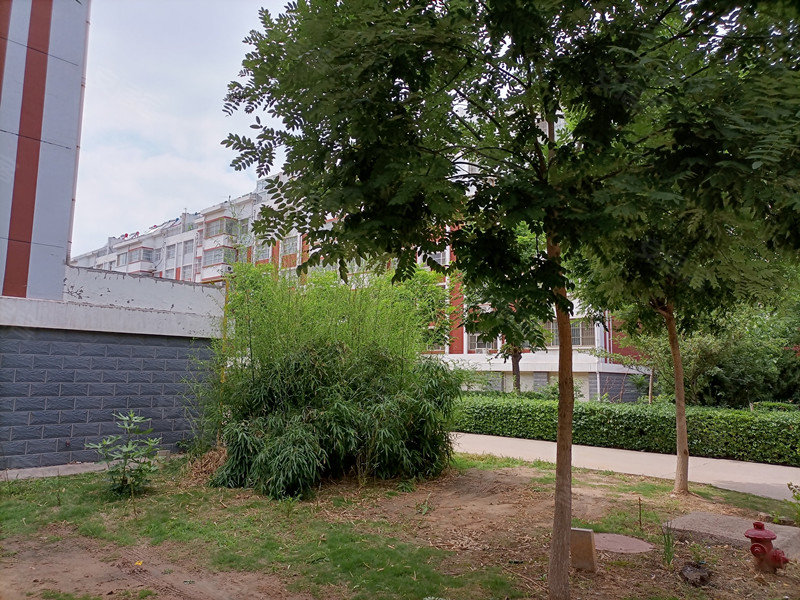 康居花园,迎宾路,近国安路-广饶康居花园二手房,租房,房价-广饶安居客