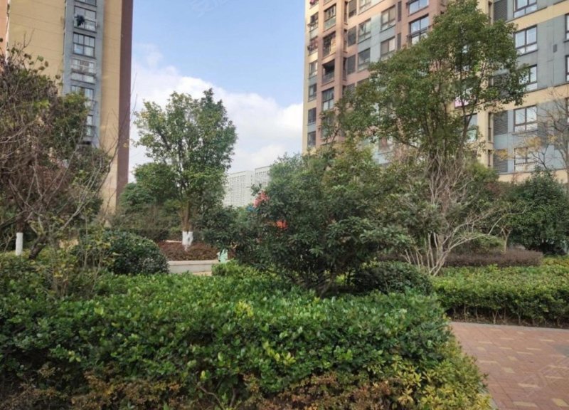 路劲上海派花香澜庭 