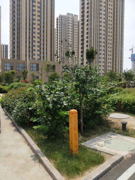 菱花富贵园,杨柳街-济宁菱花富贵园二手房,租房,房价-济宁安居客