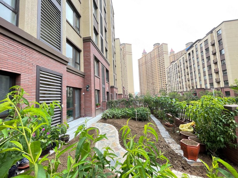 公园1953公园墅,解放东路-鞍山公园1953公园墅二手房,租房,房价-鞍山