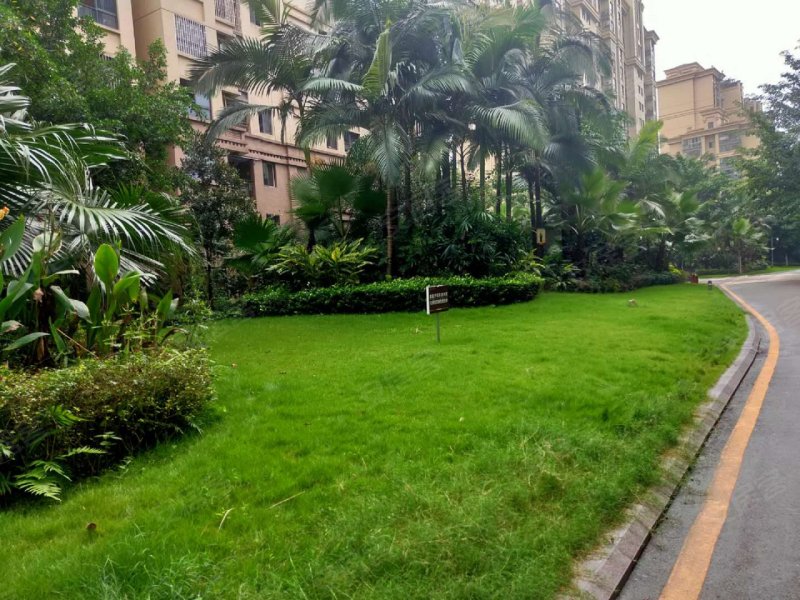 蓝滨城悦府,富民路1号-泸州蓝滨城悦府二手房,租房,房价-泸州安居客