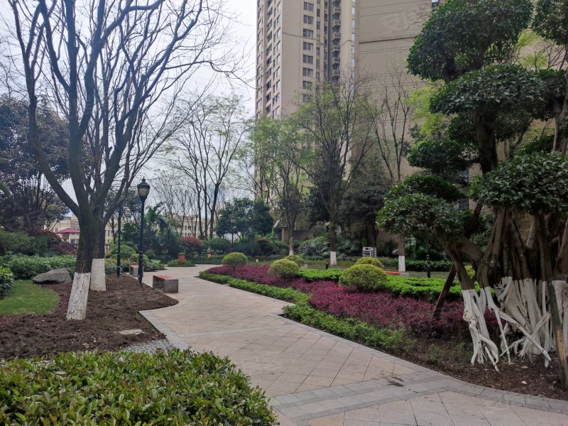 紫御江山熙岸,北滨二路538号-重庆紫御江山熙岸二手房,租房,房价-重庆