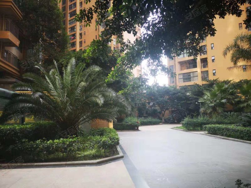 美洲花园棕榈湾