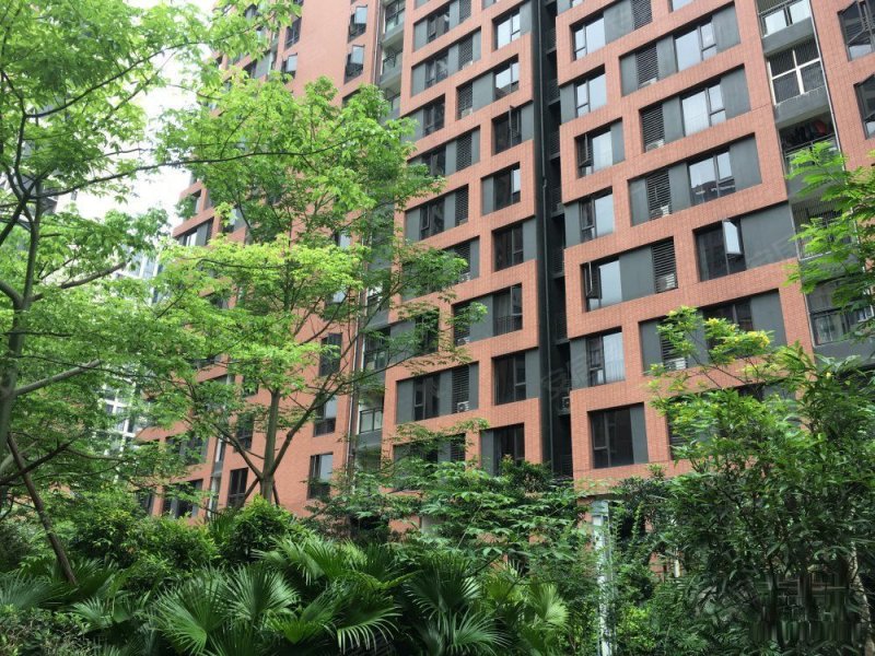 万科金域华府二期