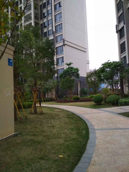 顺江帝景城,体育南路35号-湛江顺江帝景城二手房,租房,房价-湛江安居