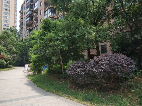 香江丽景南区,崇明路9号 - 句容香江丽景南区二手房,租房,房价-句容