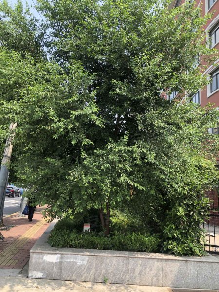 殷高路40弄小区 