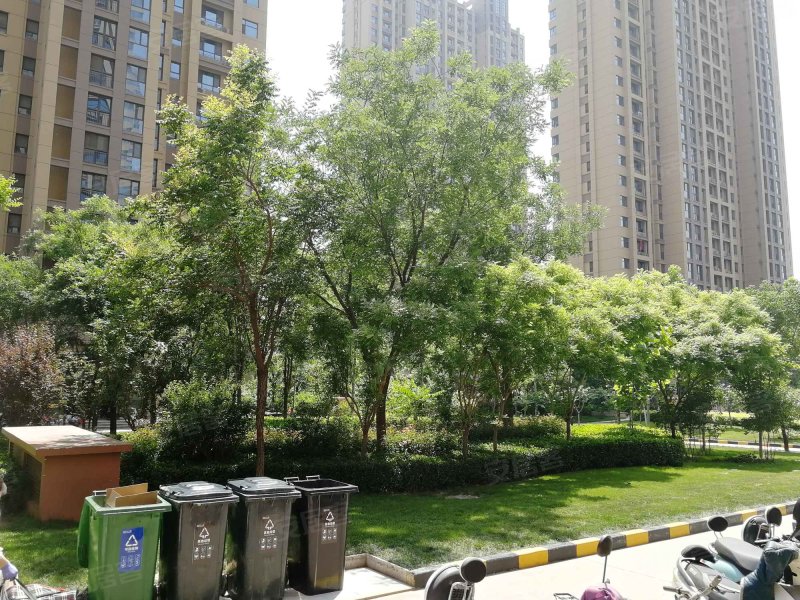 东南智汇城牡丹园
